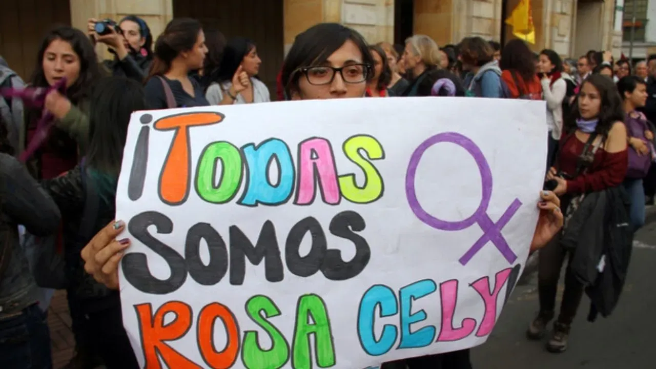 Ley Rosa Elvira Cely cumple 10 años Ley Rosa Elvira Cely: cumple 10 años, pero quedan desafíos